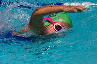 2013 August DB Dippers Swim Meet